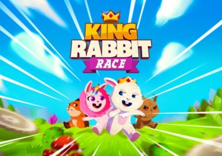 king-rabbit-race-artwork