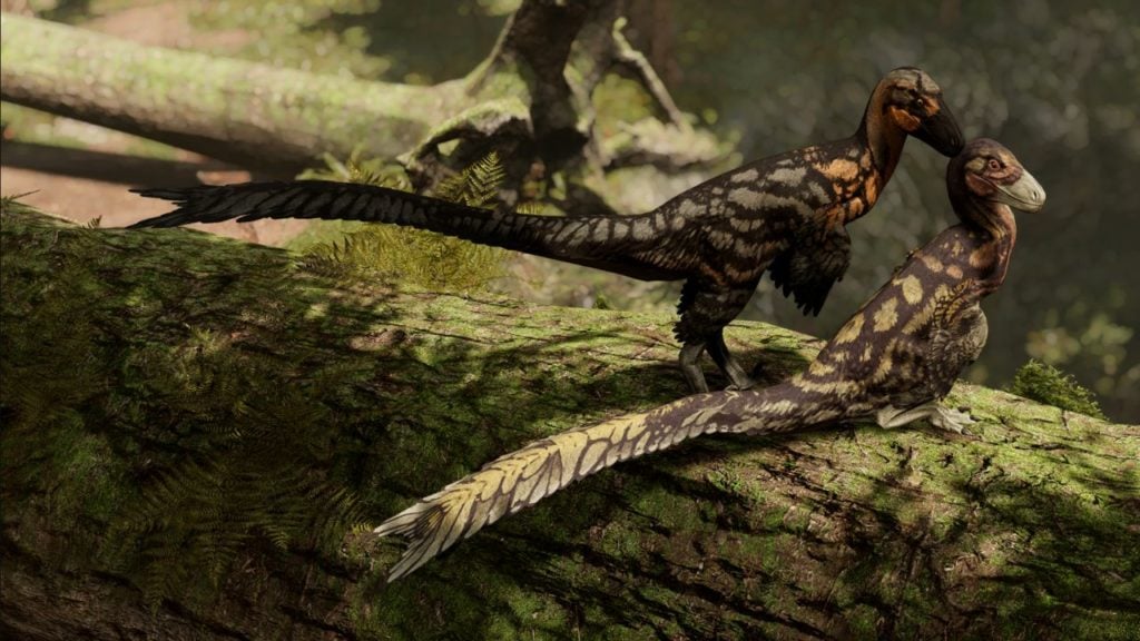 Feature for our news article on Path Of Titans. It shows a screenshot with a pair of raptor-like dinosaurs nuzzling each other.