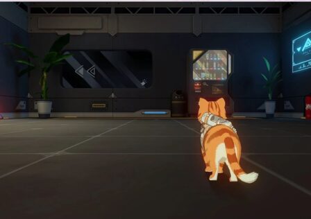 Feature image for our Cat Fantasy tier list. It shows an in-game screen with a ginger cat in an empty room.