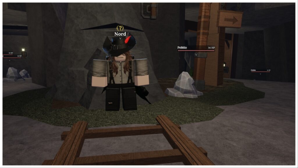 image shows nord and a pebble