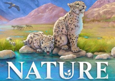 Nature Board Game