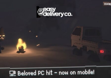 Easy Delivery Co